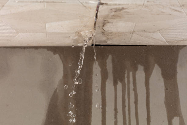 Professional Structural Drying technician working in Brentwood, NY